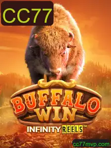 Descubra as Aventuras e Regras de BuffaloWin